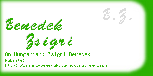 benedek zsigri business card